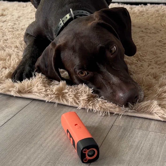 DogCalm™ – Stoppa skällandet med ett klick